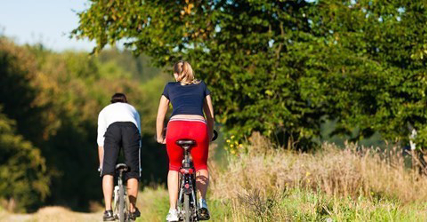 Personer på cykler ved mark og skov.