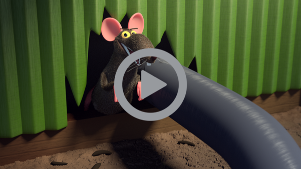 Animeret rotte ved hul i husmur