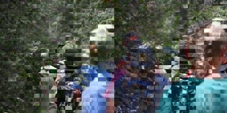 Billede af børn der går i naturen