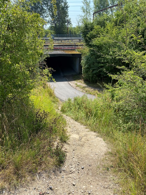 Indgang til tunnel hvor oversigtsforholdene skal forbedres gennem beskæring af det grønne
