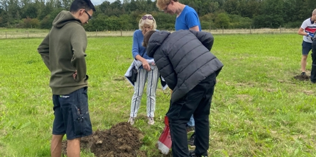 Fire personer der graver et hul i jorden på en græsplæne