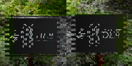 Et skilt hvor der står toilet på med et ikon af en mand og en kvinde, med en masse grønne planter i baggrunden