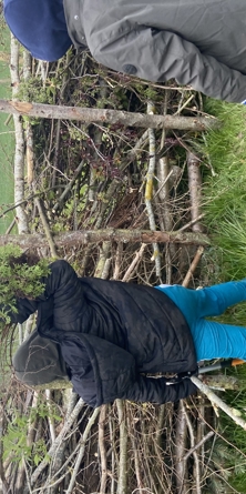 Barn der bær grene over til naturhegnet