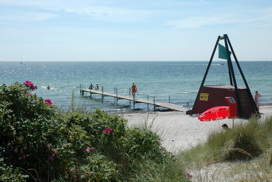 Strand med hybenbusk og mennesker på badebro og i vandet.