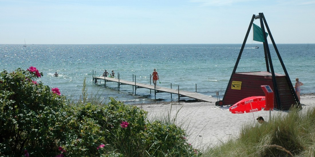 Strand med hybenbusk og mennesker på badebro og i vandet.