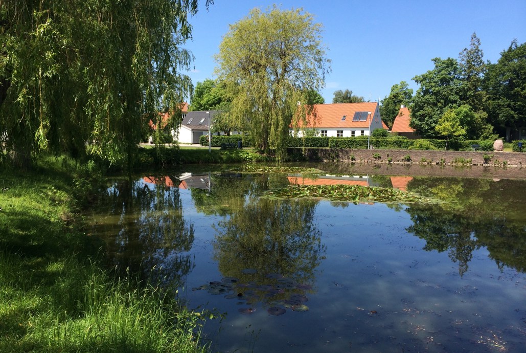 Billede af Karlslunde Gadekær. I forgrunden ses gadekæret, i baggrunden ses nogle huse.