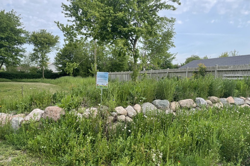Stensætning med vilde blomster