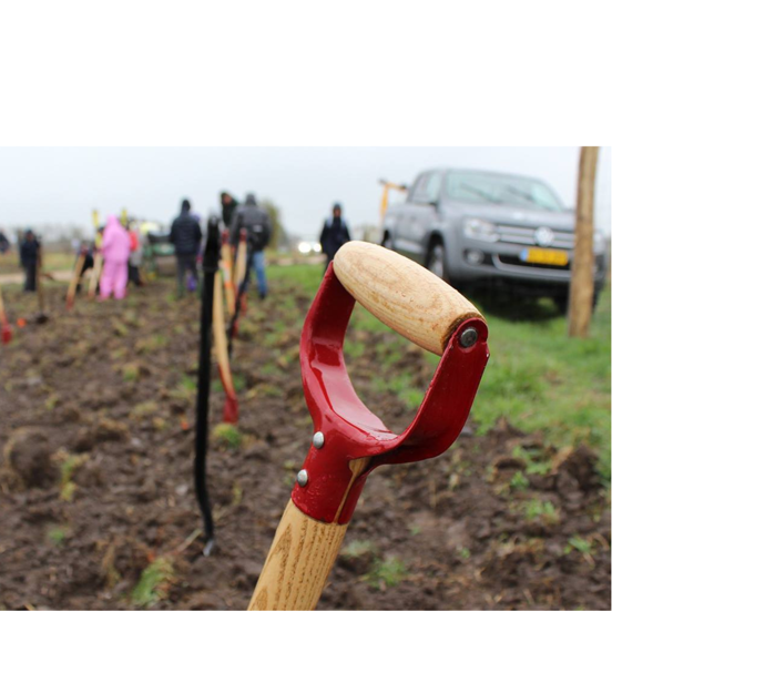 Et billede af en skovl på en plantedag