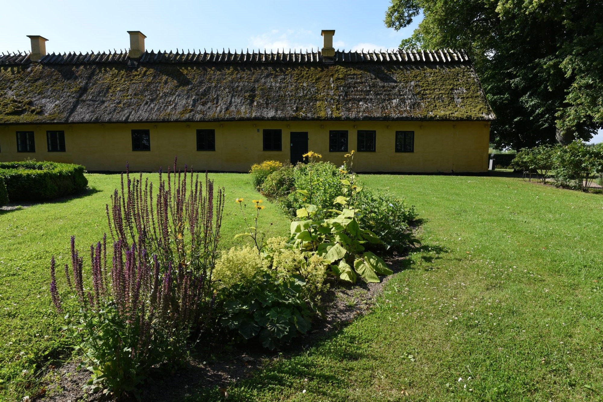 Greve Museum har en smuk, grøn have