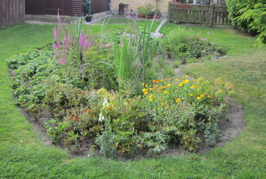 Regnvandsbed med stauder - fra haveselskabet.dk