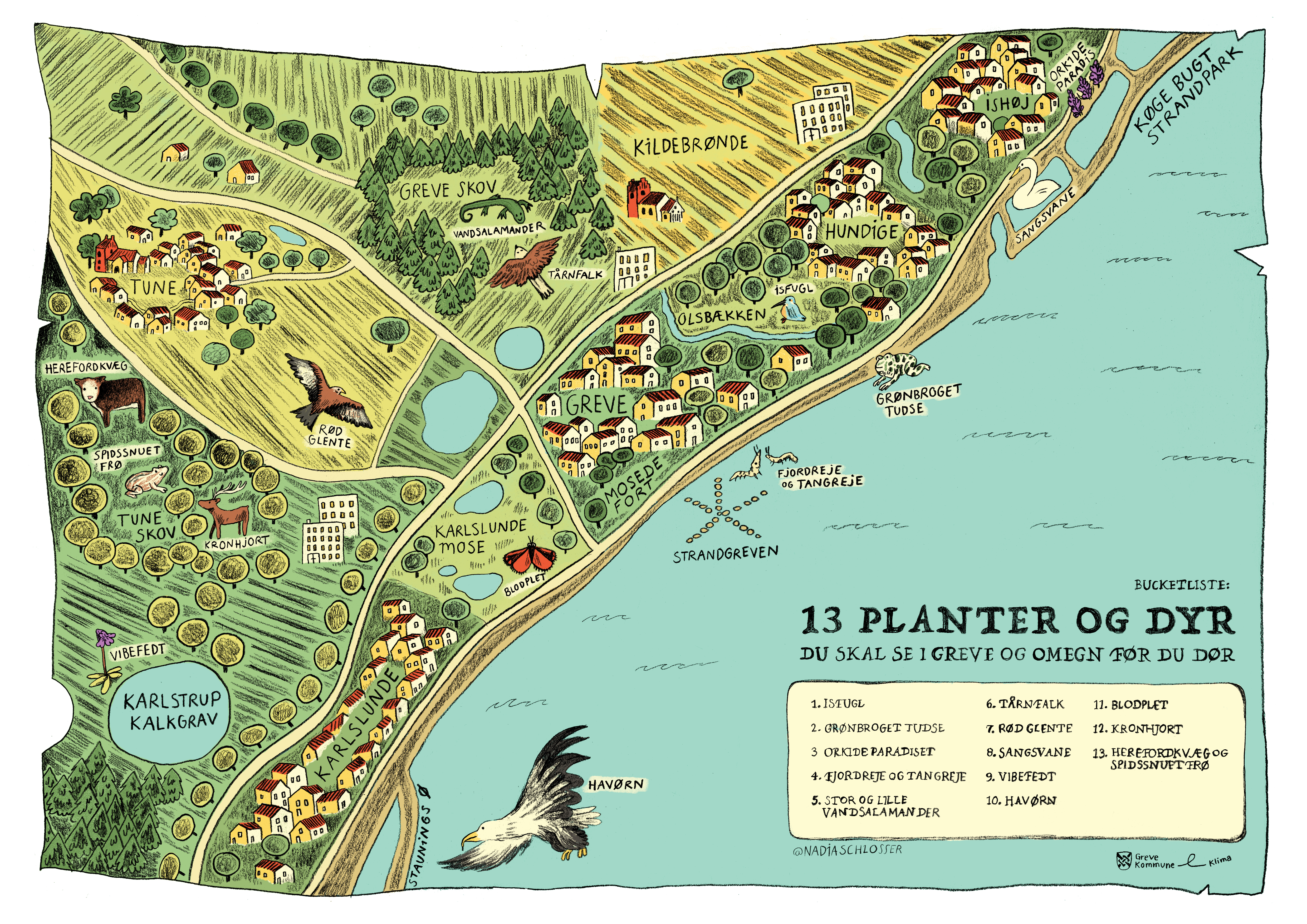 Tegnet kort over Greve med 13 sjældne arter og en liste over dem