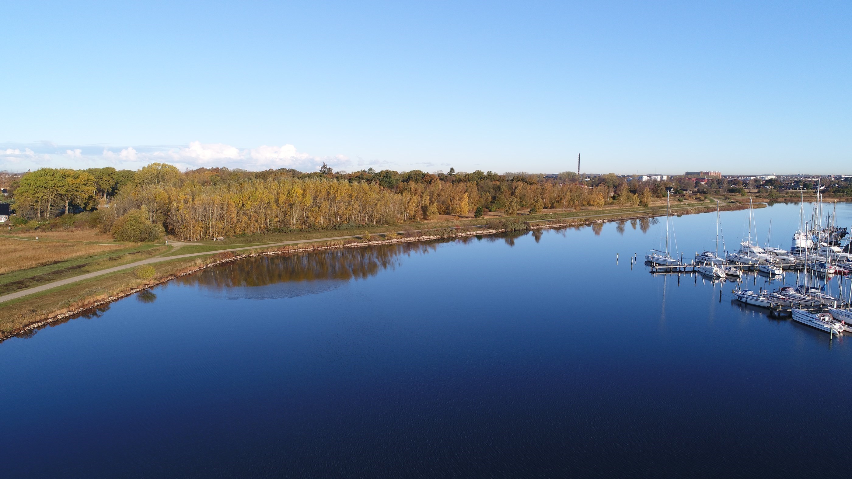 Dronefoto af træer og sejlbåde ved Greve Marina