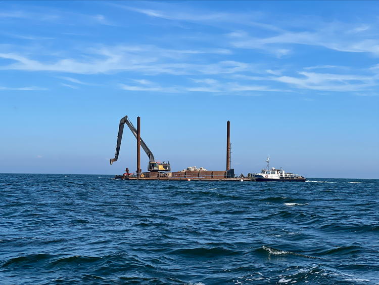 Billede af gravko på havet som smider sten ud